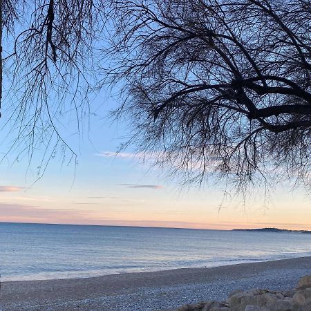 Royal Park Διαμέρισμα Villeneuve-Loubet Εξωτερικό φωτογραφία