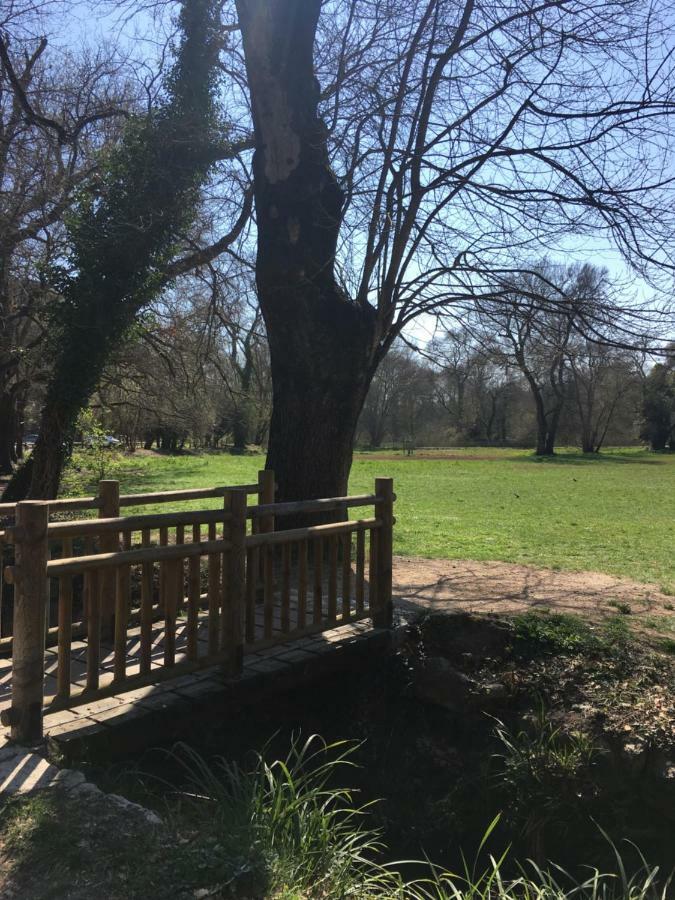 Royal Park Διαμέρισμα Villeneuve-Loubet Εξωτερικό φωτογραφία